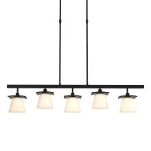  136605-SKT-SHRT-10-GG0242 - Wren 5 Light Pendant