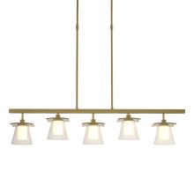 Hubbardton Forge - Canada 136605-SKT-SHRT-86-ZU0284 - Wren 5 Light Pendant