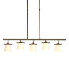  136605-SKT-STND-84-GG0242 - Wren 5 Light Pendant