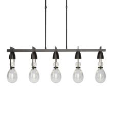 Hubbardton Forge - Canada 137810-SKT-LONG-14-ZM0572 - Apothecary Pendant