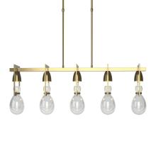 Hubbardton Forge - Canada 137810-SKT-SHRT-86-ZM0572 - Apothecary Pendant