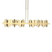 Hubbardton Forge - Canada 139652-LED-SHRT-86-86 - Hildene Large LED Pendant