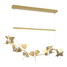 Hubbardton Forge - Canada 139813-LED-STND-86-86-CR - Belladonna LED Pendant