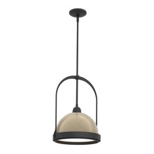  187462-SKT-MULT-10-84 - Atlas Small Pendant