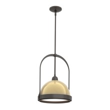  187462-SKT-MULT-14-86 - Atlas Small Pendant