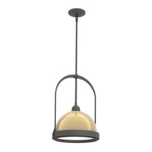  187462-SKT-MULT-20-86 - Atlas Small Pendant