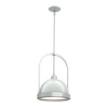  187462-SKT-MULT-82-82 - Atlas Small Pendant