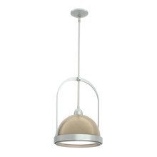 Hubbardton Forge - Canada 187462-SKT-MULT-82-84 - Atlas Small Pendant