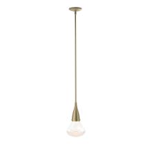 Hubbardton Forge - Canada 188902-SKT-MULT-84-ZM0676 - Fritz Large Pendant