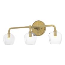 Hubbardton Forge - Canada 201342-SKT-86-86-ZM0709 - Ume 3-Light Curved Arm Bath Sconce