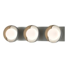 Hubbardton Forge - Canada 201378-SKT-82-84-GG0711 - Brooklyn 3-Light Straight Double Shade Bath Sconce