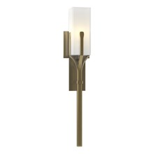  204750-SKT-86-GG0441 - Mediki Sconce