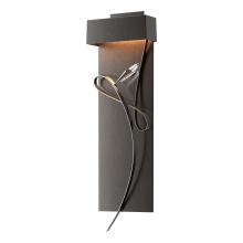 Hubbardton Forge - Canada 205440-LED-14-14-CR - Rhapsody LED Sconce