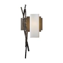 Hubbardton Forge - Canada 207670-SKT-RGT-05-GG0351 - Brindille Sconce