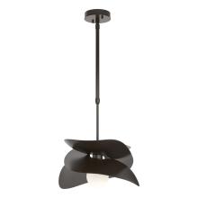 Hubbardton Forge - Canada 369455-SKT-STND-14 - Hibiscus Outdoor Pendant