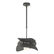 Hubbardton Forge - Canada 369455-SKT-STND-20 - Hibiscus Outdoor Pendant