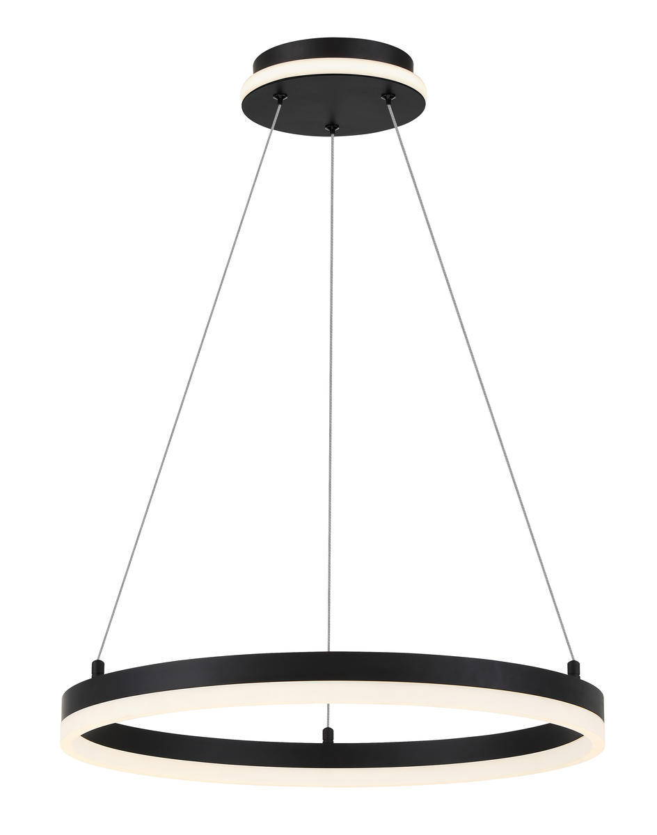 RECOVERY - LED PENDANT FIXTURE