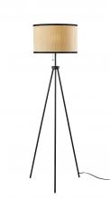 AFJ - Adesso 3954-01 - Raven Floor Lamp