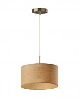 AFJ - Adesso 4001-21 - Harvest Pendant